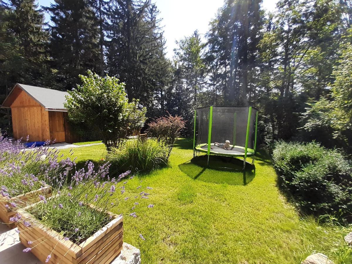Apartamenty Przy Swierku Sklářská Poruba Exteriér fotografie