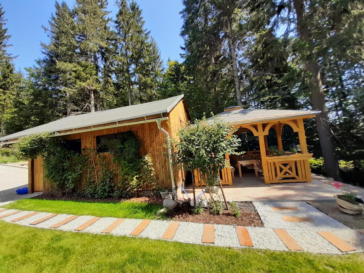 Apartamenty Przy Swierku Sklářská Poruba Exteriér fotografie