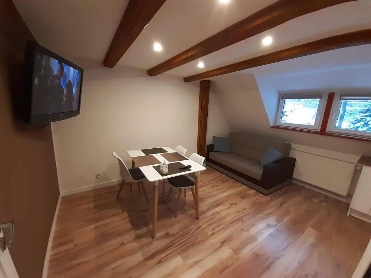 Apartamenty Przy Swierku Sklářská Poruba Exteriér fotografie