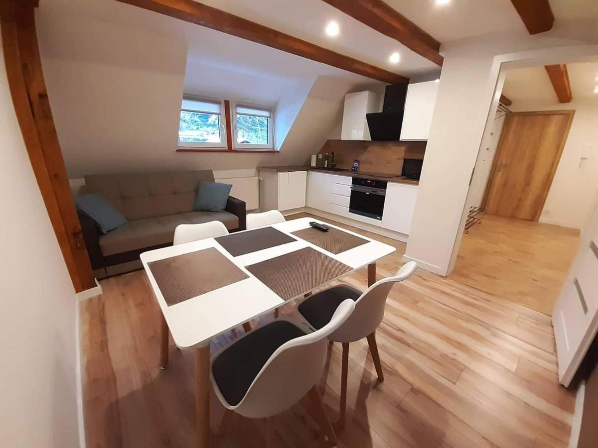 Apartamenty Przy Swierku Sklářská Poruba Exteriér fotografie