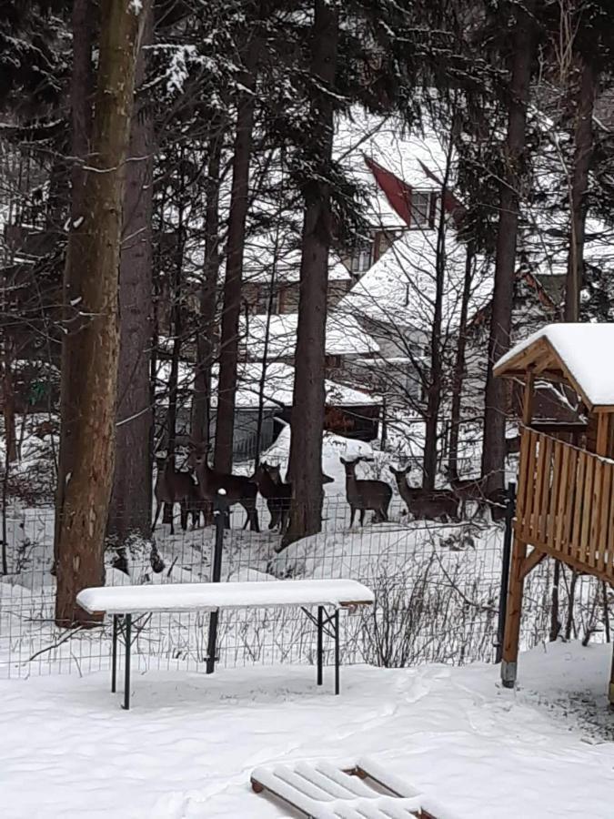 Apartamenty Przy Swierku Sklářská Poruba Exteriér fotografie