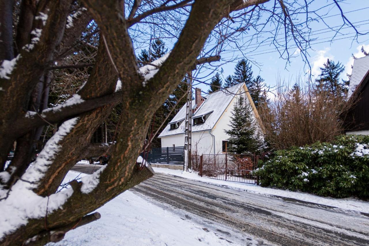 Apartamenty Przy Swierku Sklářská Poruba Exteriér fotografie